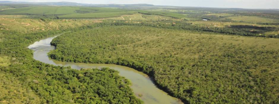 Reparação Brumadinho: região da Bacia do Paraopeba vai receber centro de apoio às mulheres em situação de violência doméstica